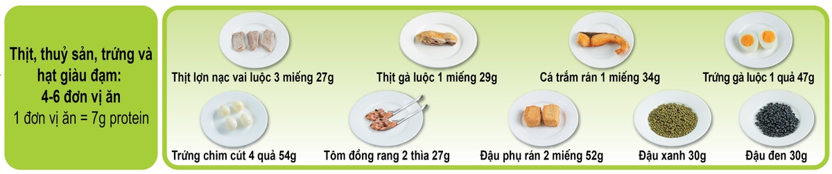 Minh họa 1 đơn vị ăn tầng thịt, thủy sản, trứng và hạt giàu đạm