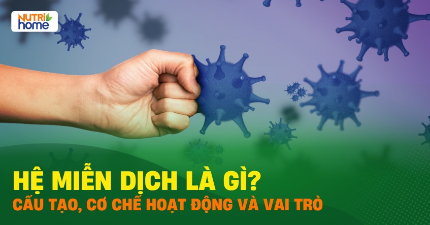 hệ miễn dịch