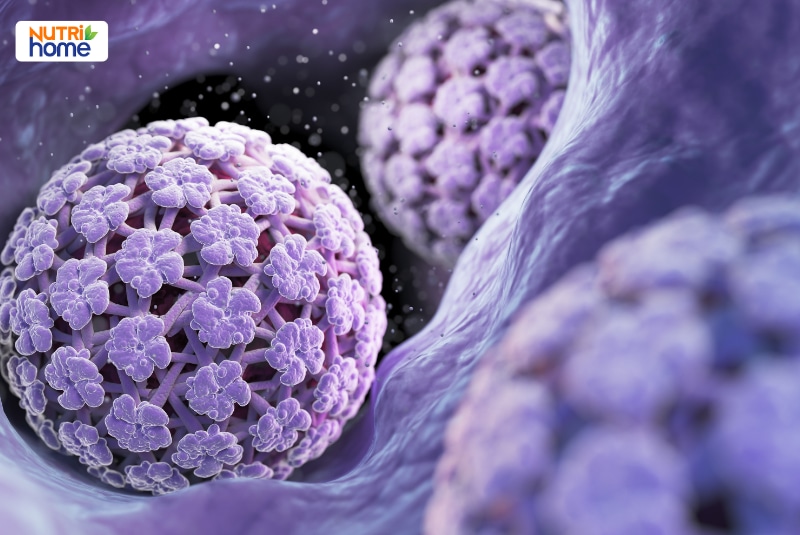 Hình ảnh mô phỏng virus HPV ở cấp độ vi thể