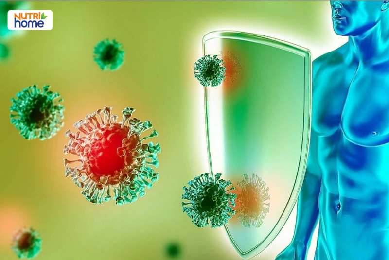 Lá chắn tượng trưng cho khả năng bảo vệ cơ thể khỏi virus.