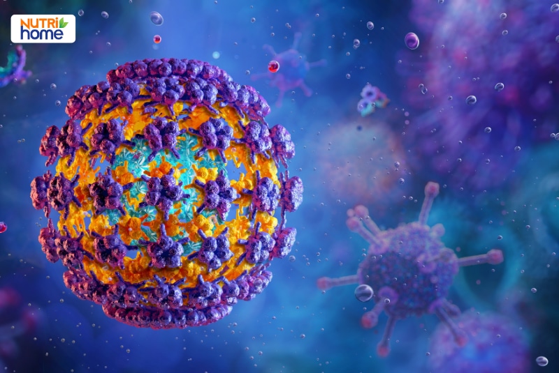 Hình ảnh mô phỏng cấu trúc virus HPV trong không gian vi mô.
