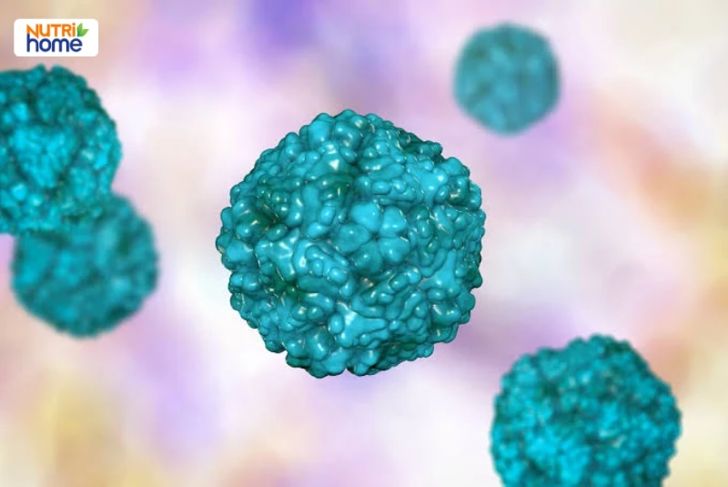 Mô hình 3D virus đường ruột Enterovirus màu xanh