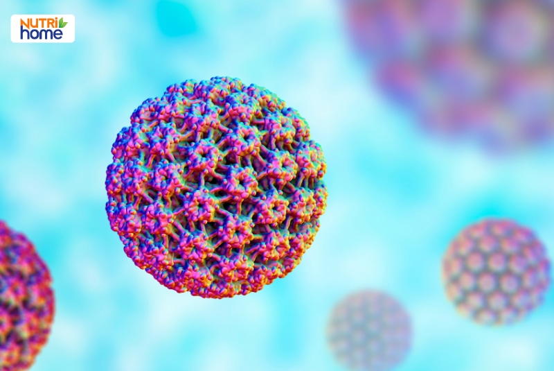 HPV type 35 là gì?