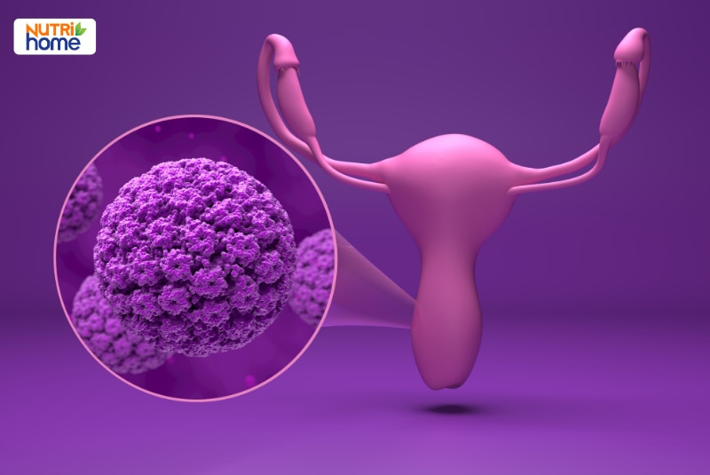 Hình minh họa virus HPV phóng to tấn công tử cung và cổ tử cung
